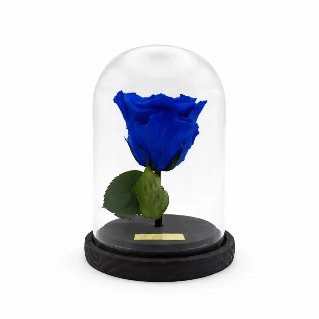 kék örökrózsa üvegbúrában