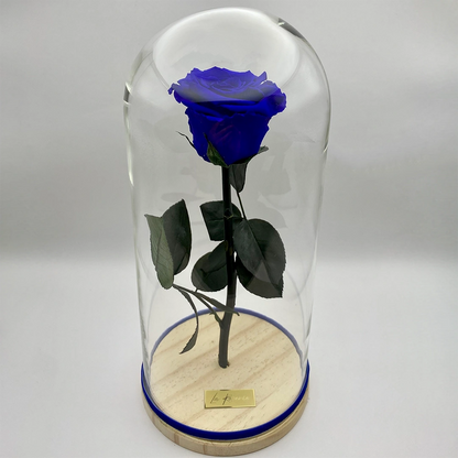 kék örökrózsa üvegben