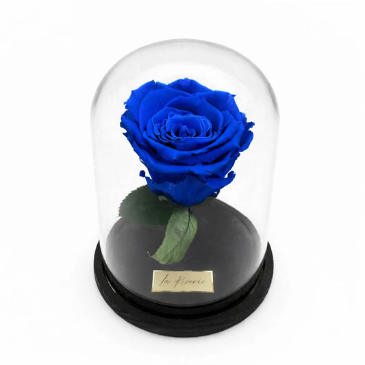 kék örökrózsa üvegbúrában