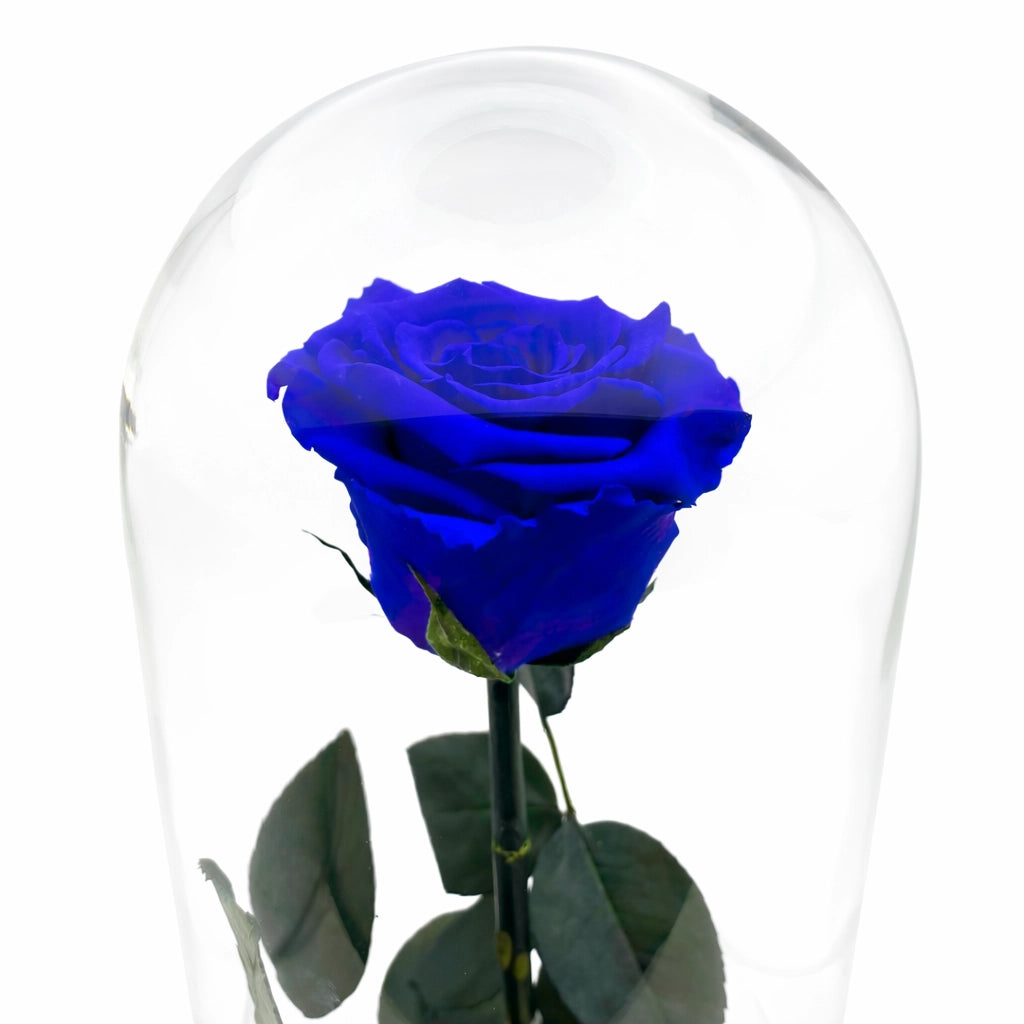 kék örökrózsa üvegben