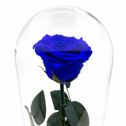 kék örökrózsa üvegben