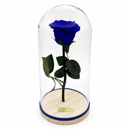 kék örökrózsa üvegben