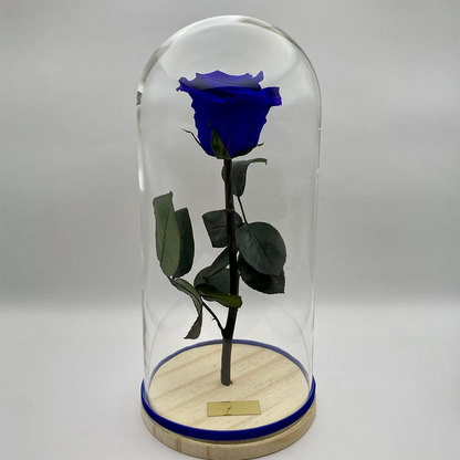 kék örökrózsa üvegben