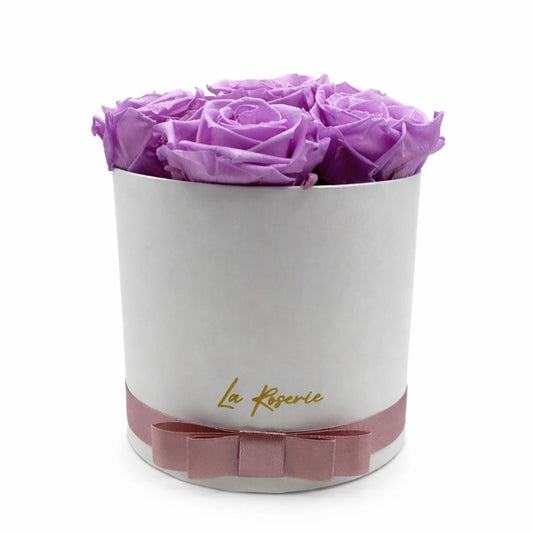 lila örökrózsa dobozban