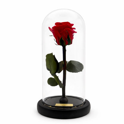 örök rózsa üvegben, led világítással