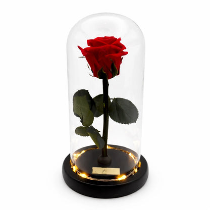 örök rózsa üvegben, led világítással