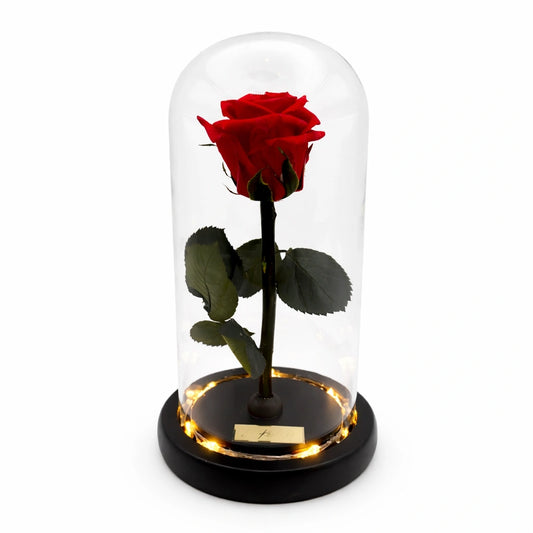 örök rózsa üvegben, led világítással