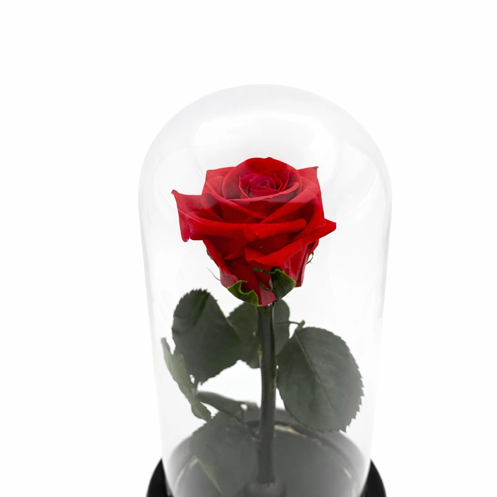 örök rózsa üvegben, led világítással