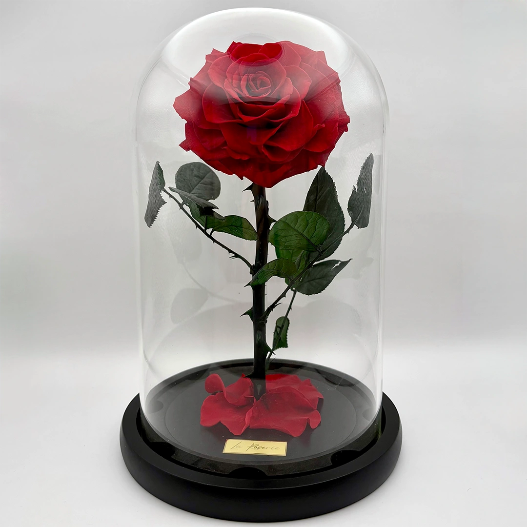 extra nagyfejű örökrózsa üvegben