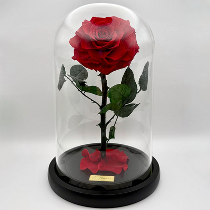 extra nagyfejű örökrózsa üvegben