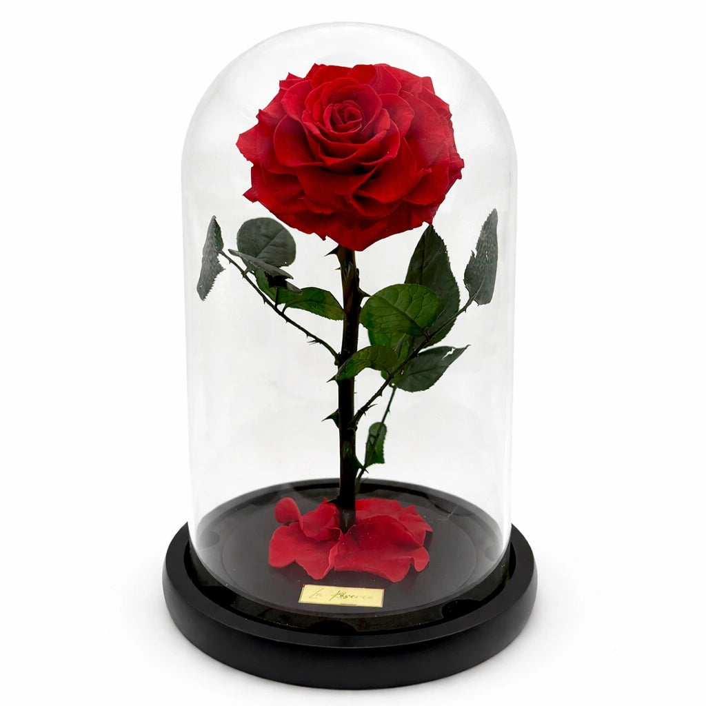 extra nagyfejű örökrózsa üvegben