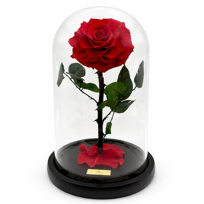 extra nagyfejű örökrózsa üvegben