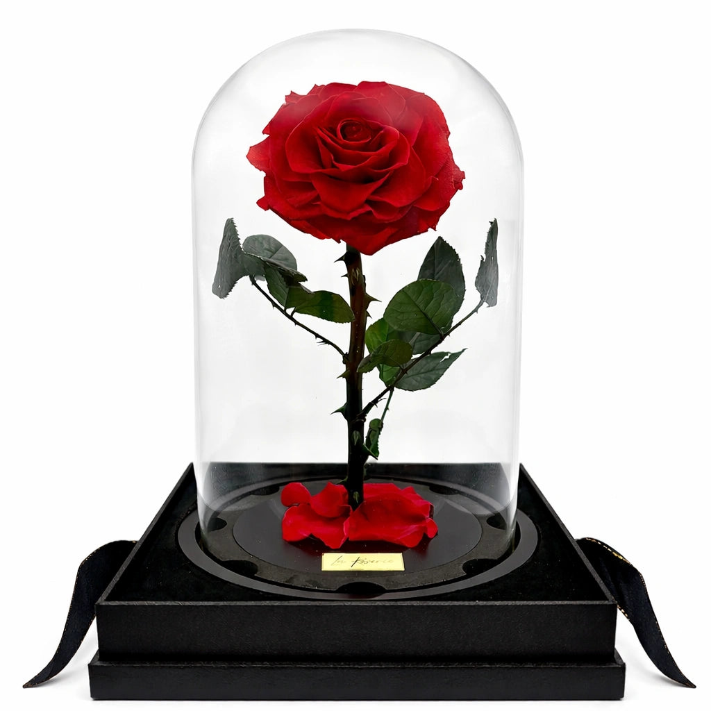 xxxl nagyfejű örök rózsa