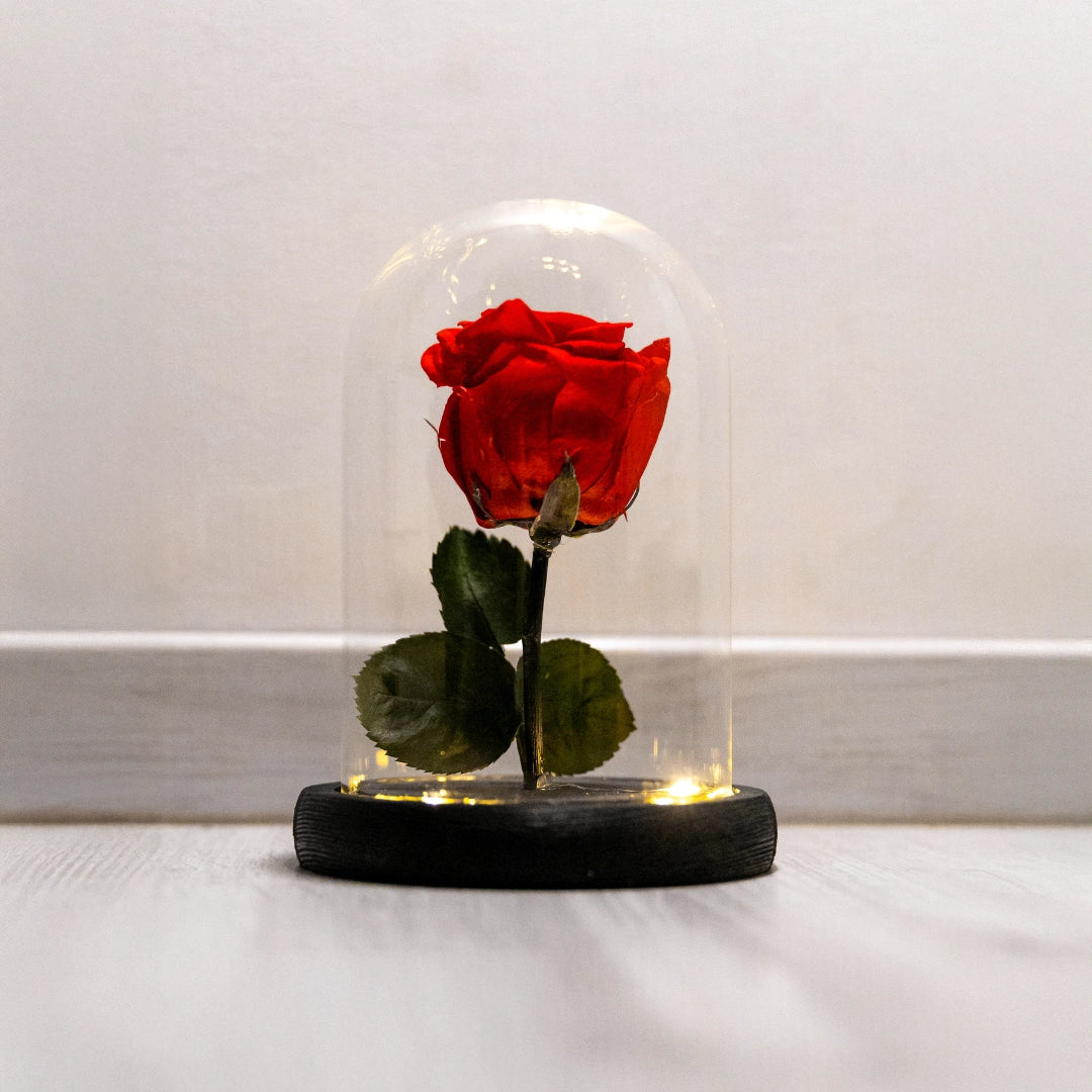 örökrózsa üvegbúrában