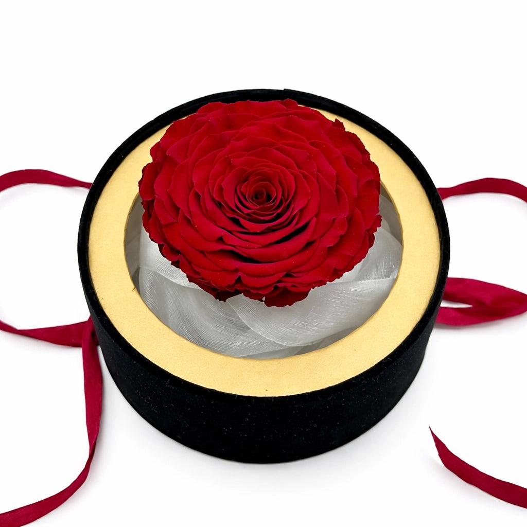 óriás örökrózsa