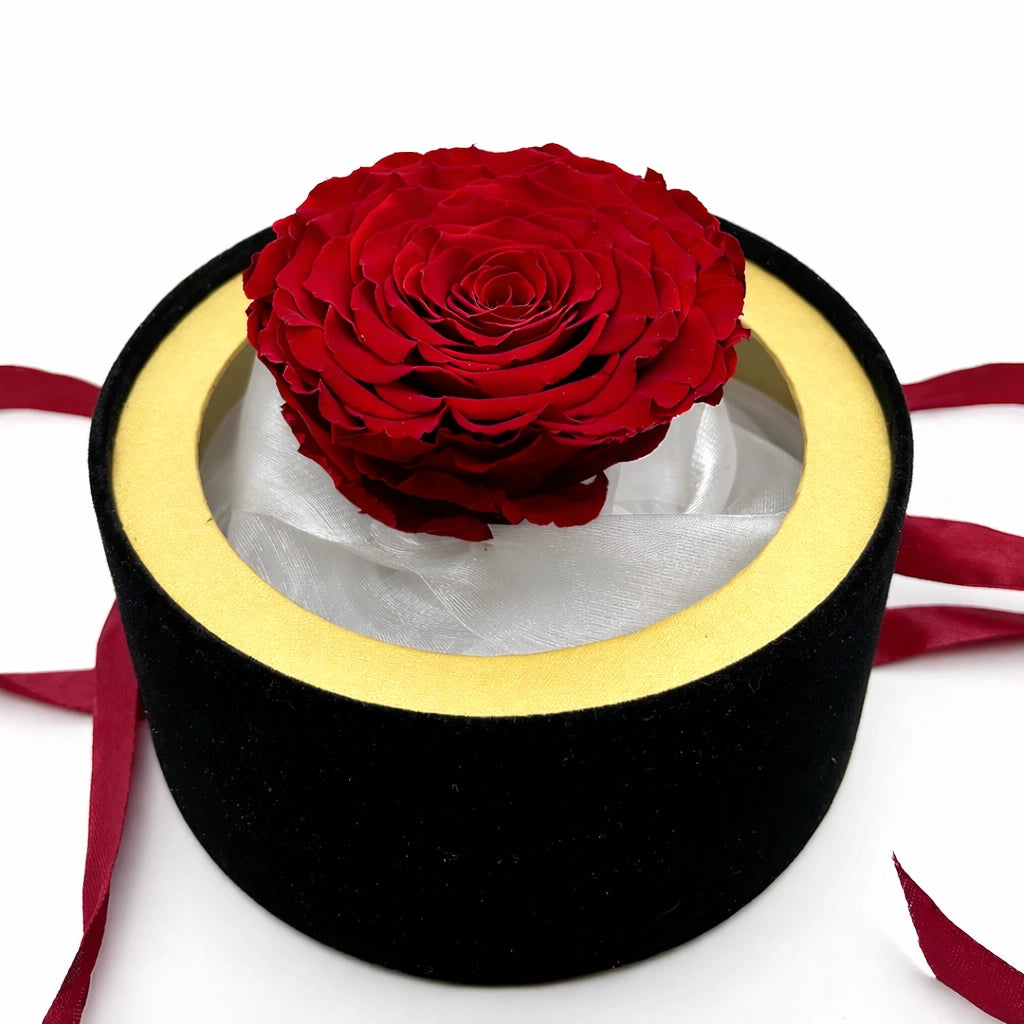 nagy vörös örökrózsa bársony dobozban