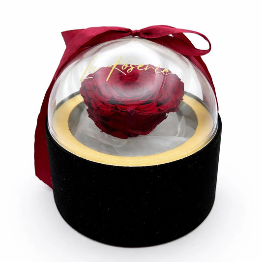 nagyfejű vörös örökrózsa bársony dobozban