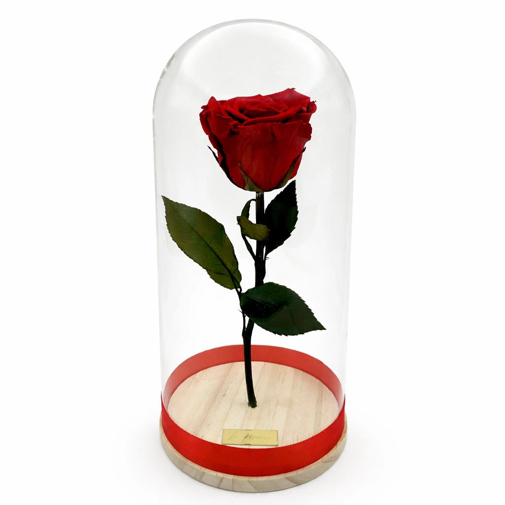 xl-es örökrózsa üvegben