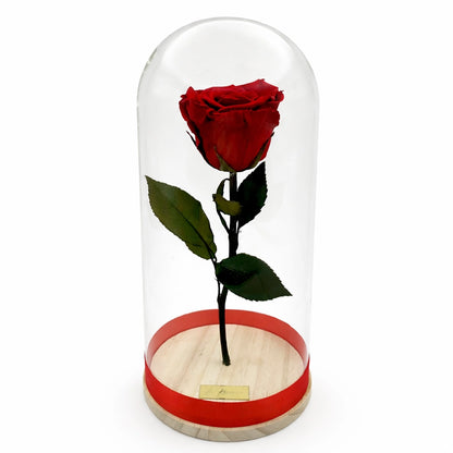 xl-es örökrózsa üvegben