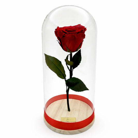 xl-es örökrózsa üvegben