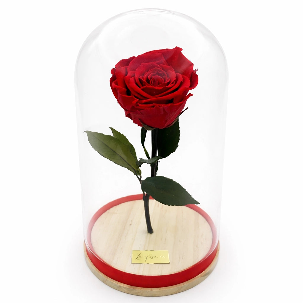vörös örökrózsa üvegburában