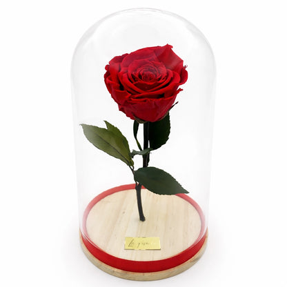 vörös örökrózsa üvegburában