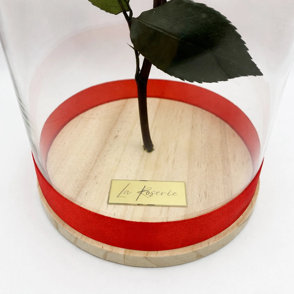 La Roserie vörös örökrózsa üvegbúrában