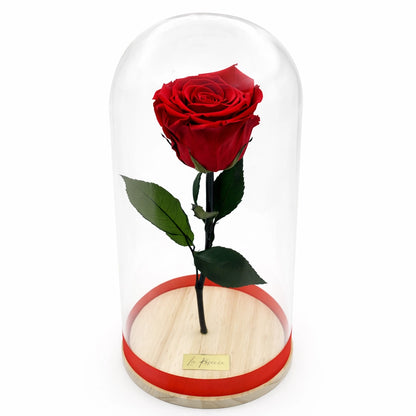 örök rózsa üvegben