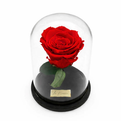 örökrózsa üvegbúrában, LED világítással