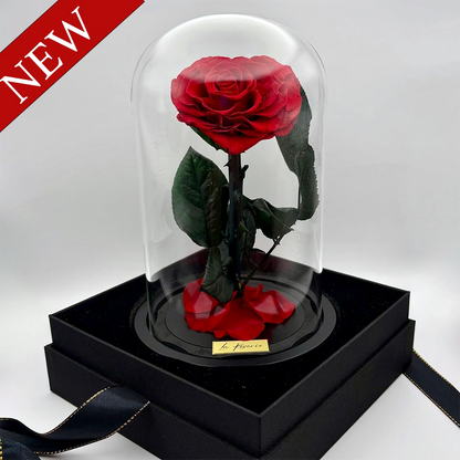 új szív alakú örökrózsa üvegben