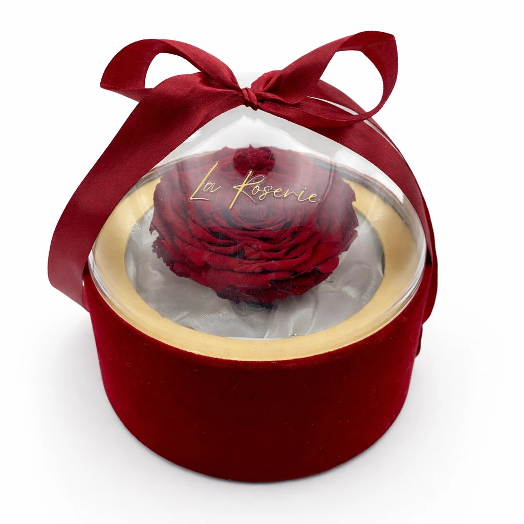 óriás örökrózsa dobozban