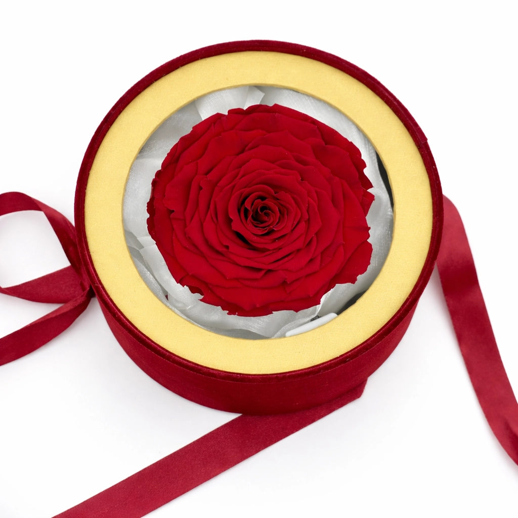 óriás örökrózsa dobozban