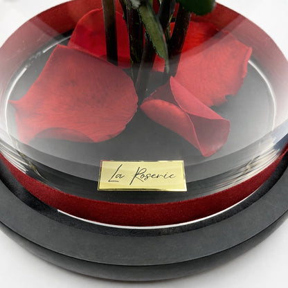 5 örökrózsa üvegben