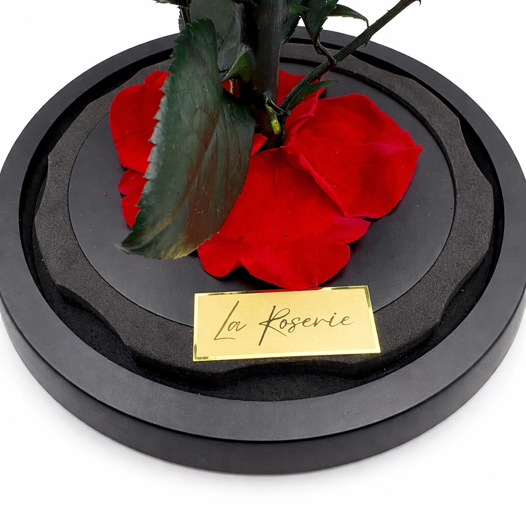La Roserie örök rózsa üvegbúrában