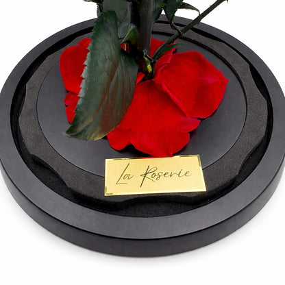 La Roserie örök rózsa üvegbúrában