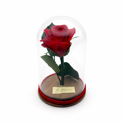 vörös örökrózsa üvegben mini