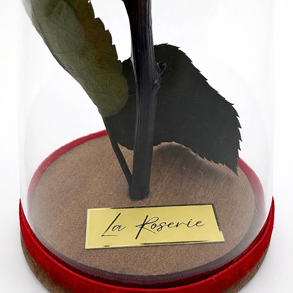 la roserie vörös örökrózsa üvegben mini