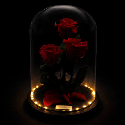 3 örökrózsa üvegbúrában, LED világítással