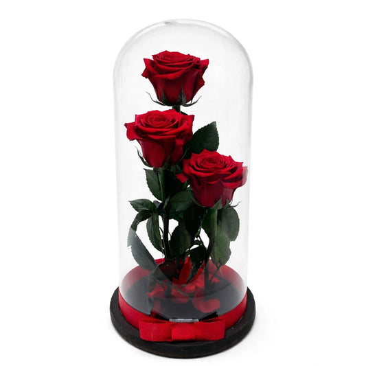 3 óriás örök rózsa üvegben, LED világítással