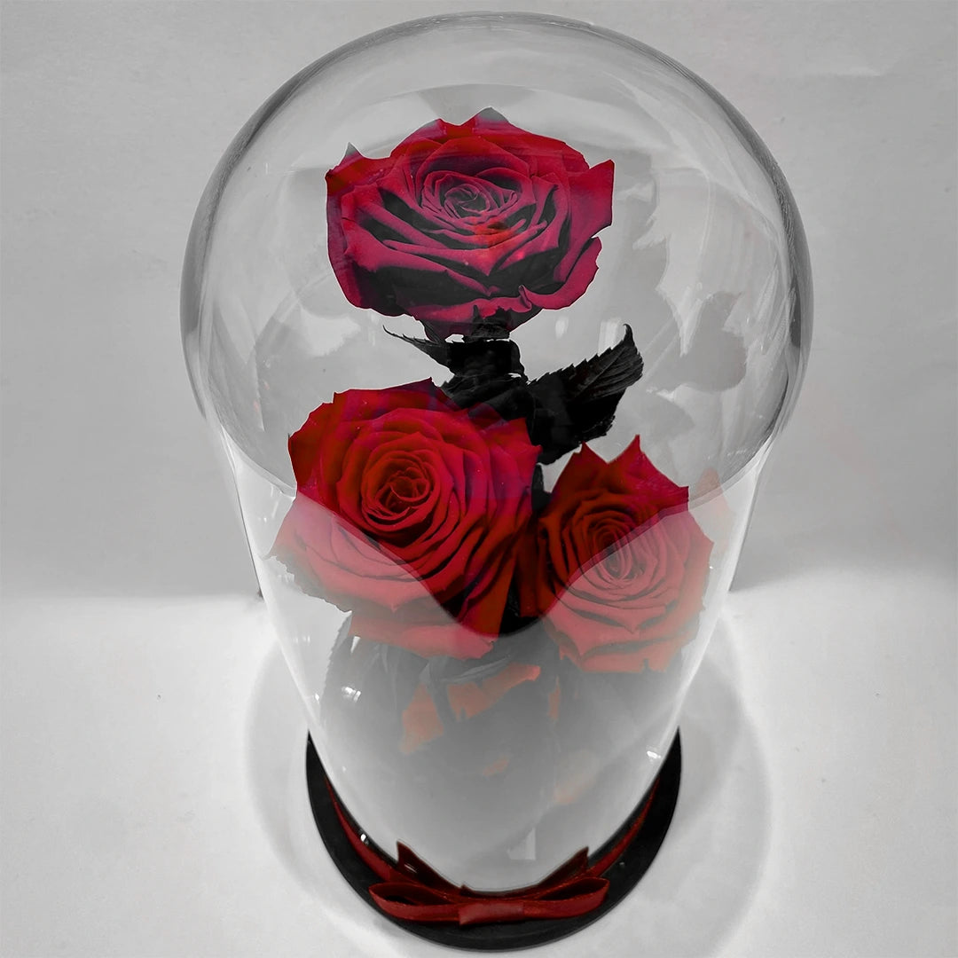 óriás örök rózsa