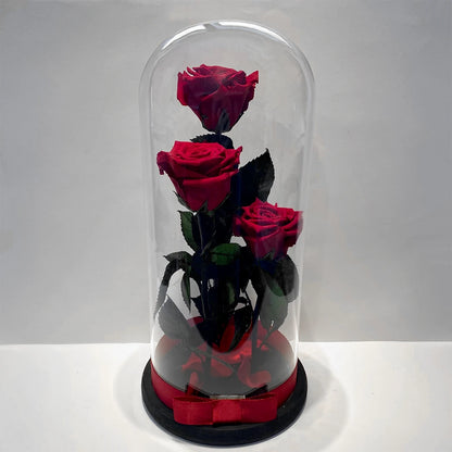 3 óriás örök rózsa üvegben