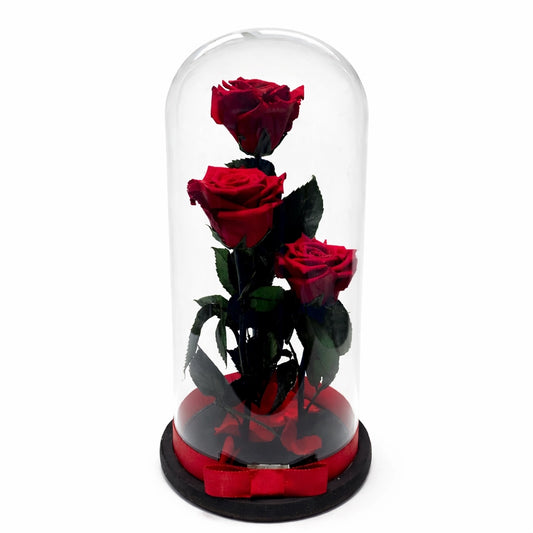 3 óriás örök rózsa üvegben