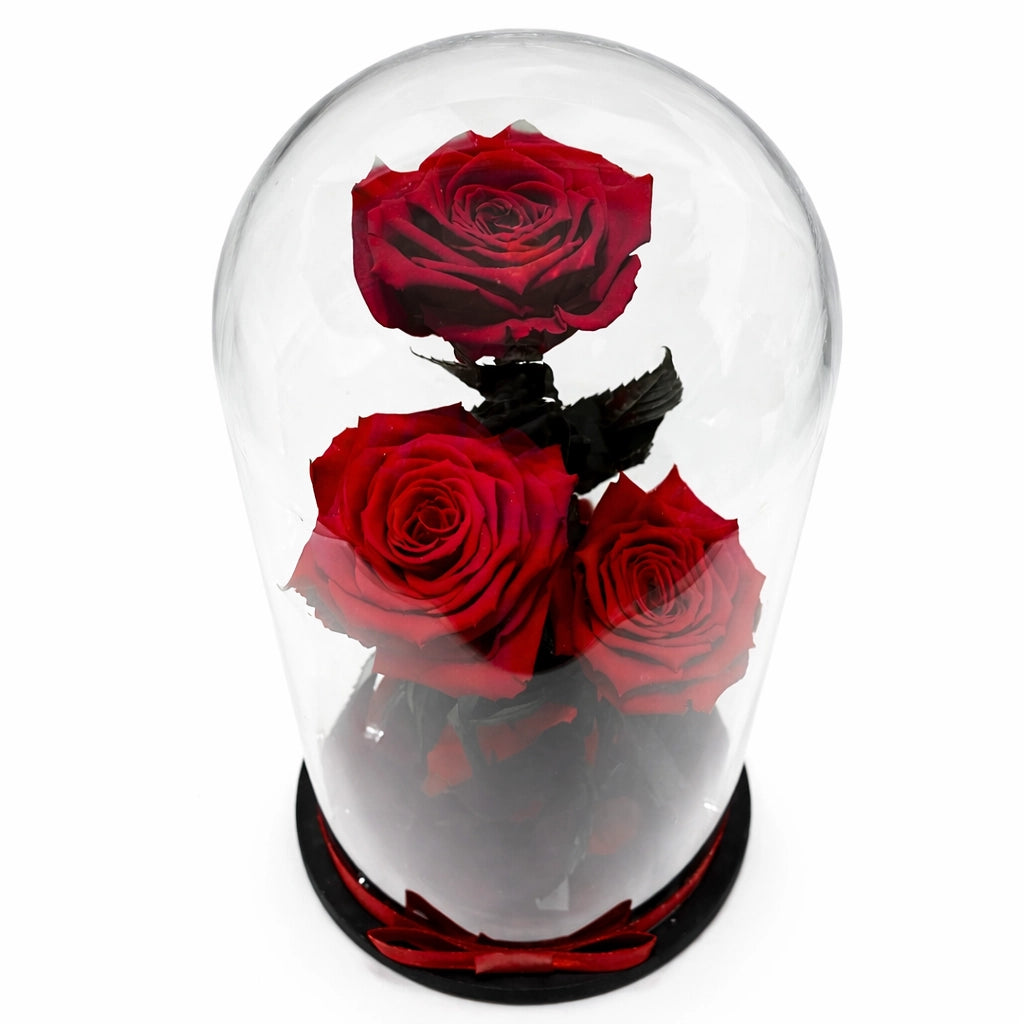 óriás örök rózsa