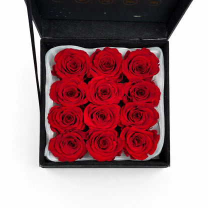 örökrózsa box videólejátszó