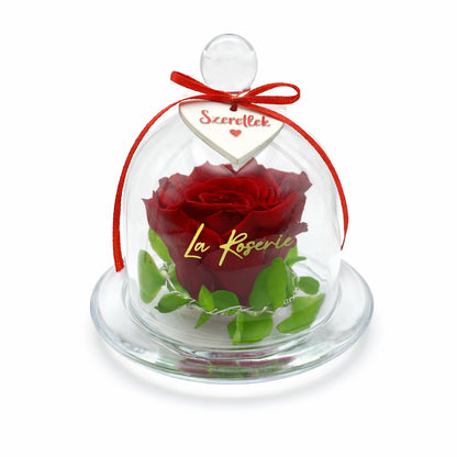 örökrózsa üvegbúrában világítással