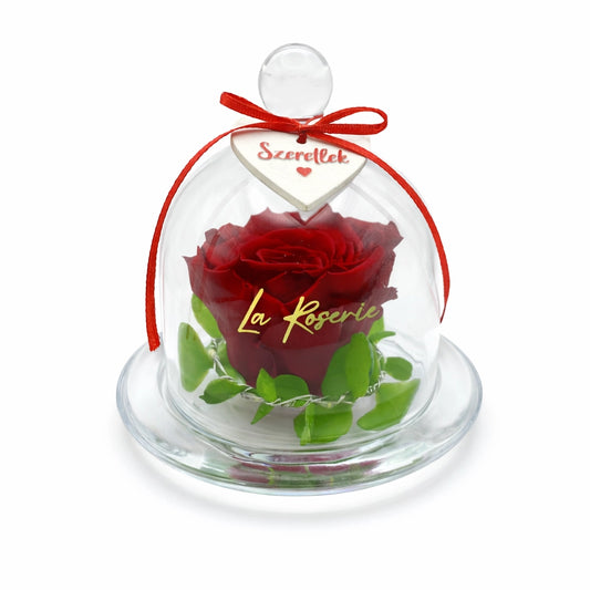 örökrózsa üvegbúrában világítással