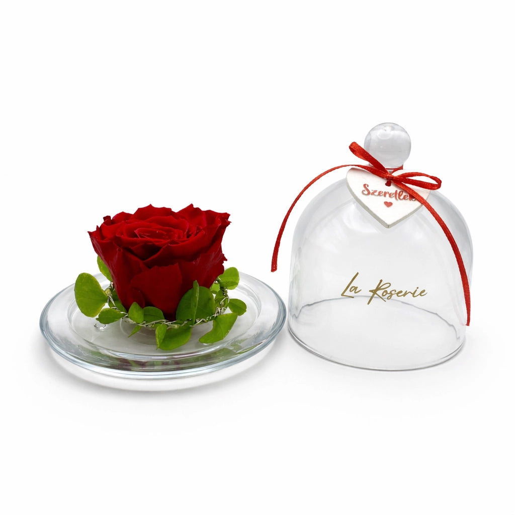 örökrózsa üvegbúrában