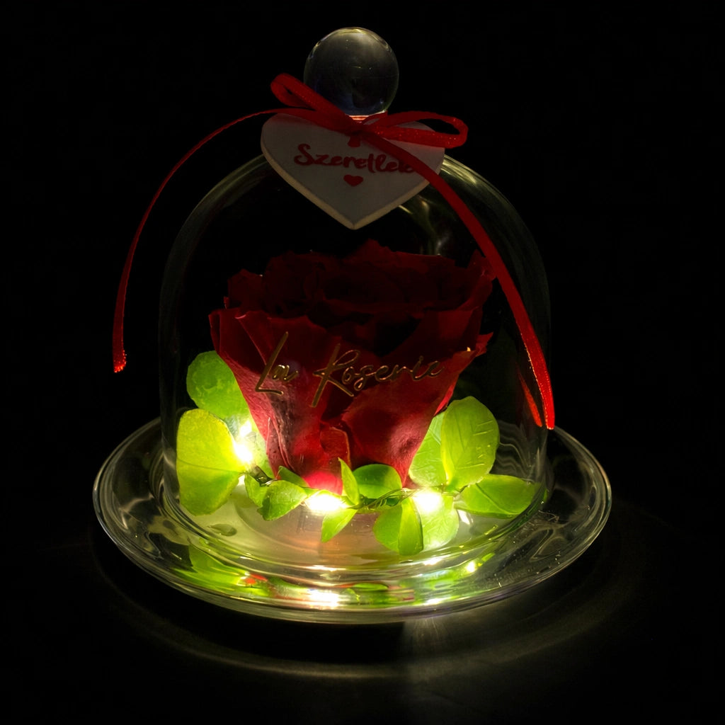 örökrózsa üvegbúrában, LED világítással