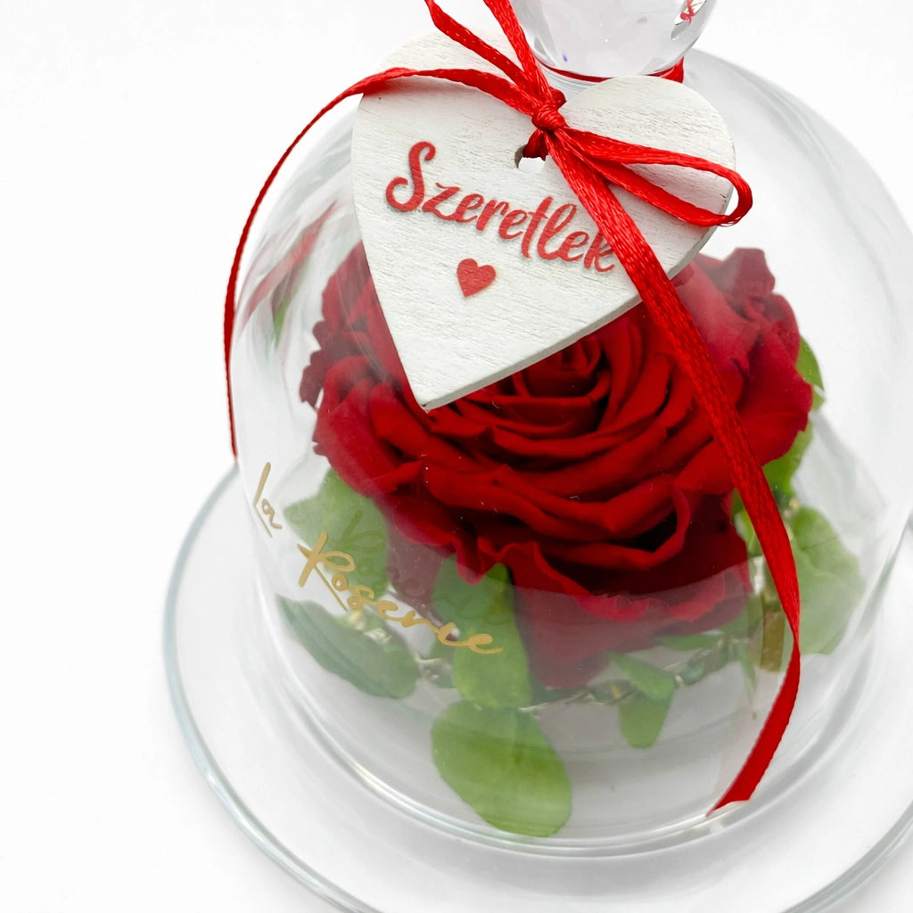örökrózsa üvegbúrában szerelmednek