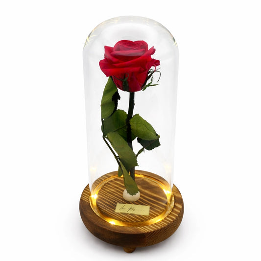 örökrózsa üvegbúrában